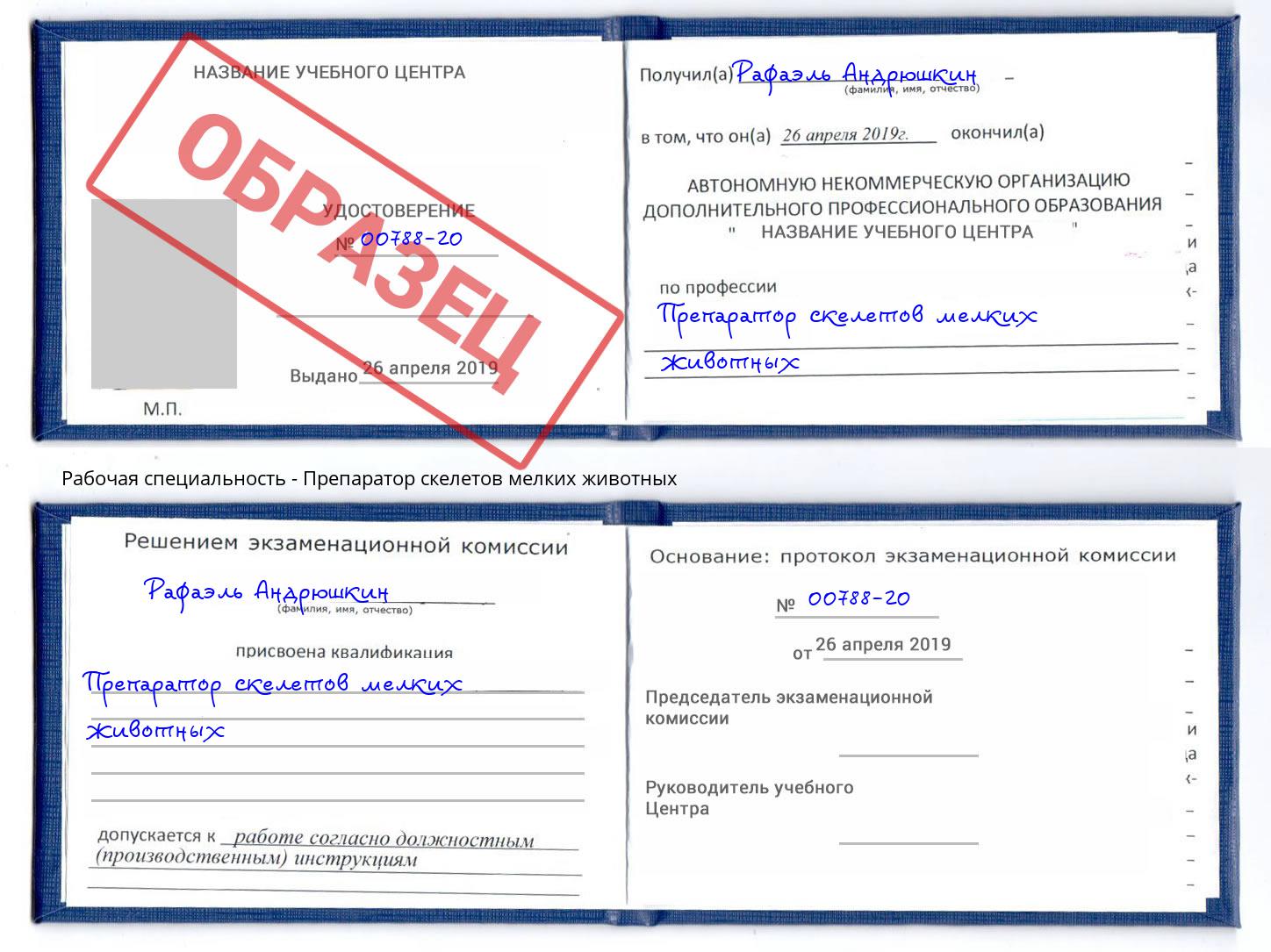 Препаратор скелетов мелких животных Тула