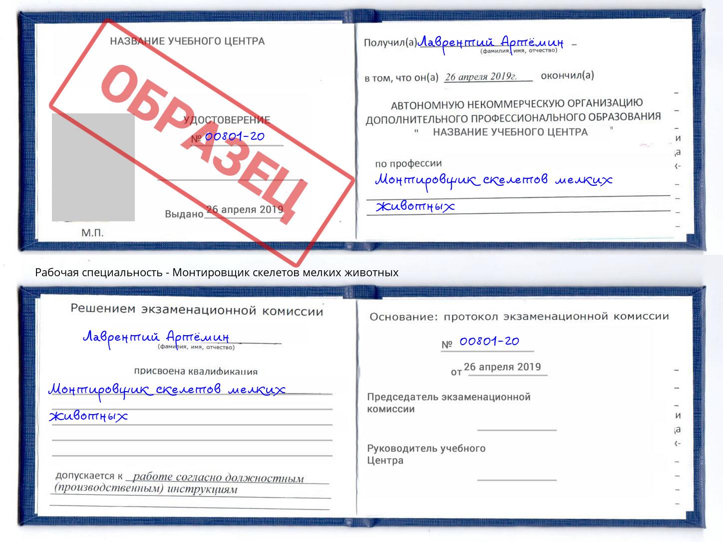 Монтировщик скелетов мелких животных Тула