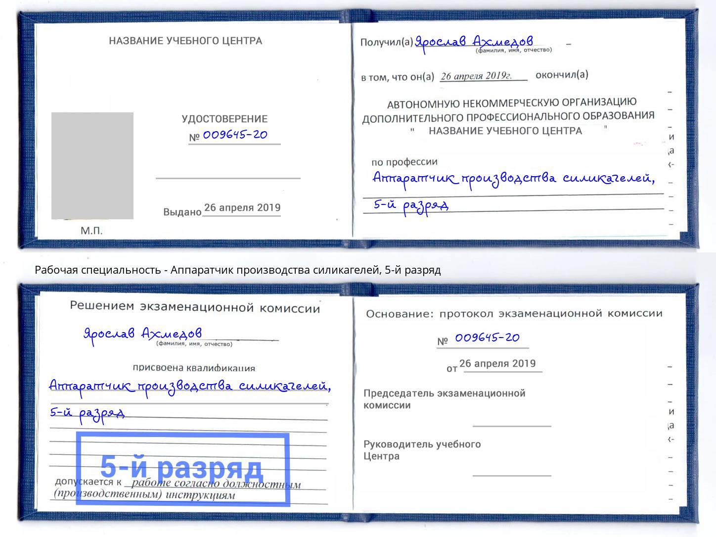 корочка 5-й разряд Аппаратчик производства силикагелей Тула