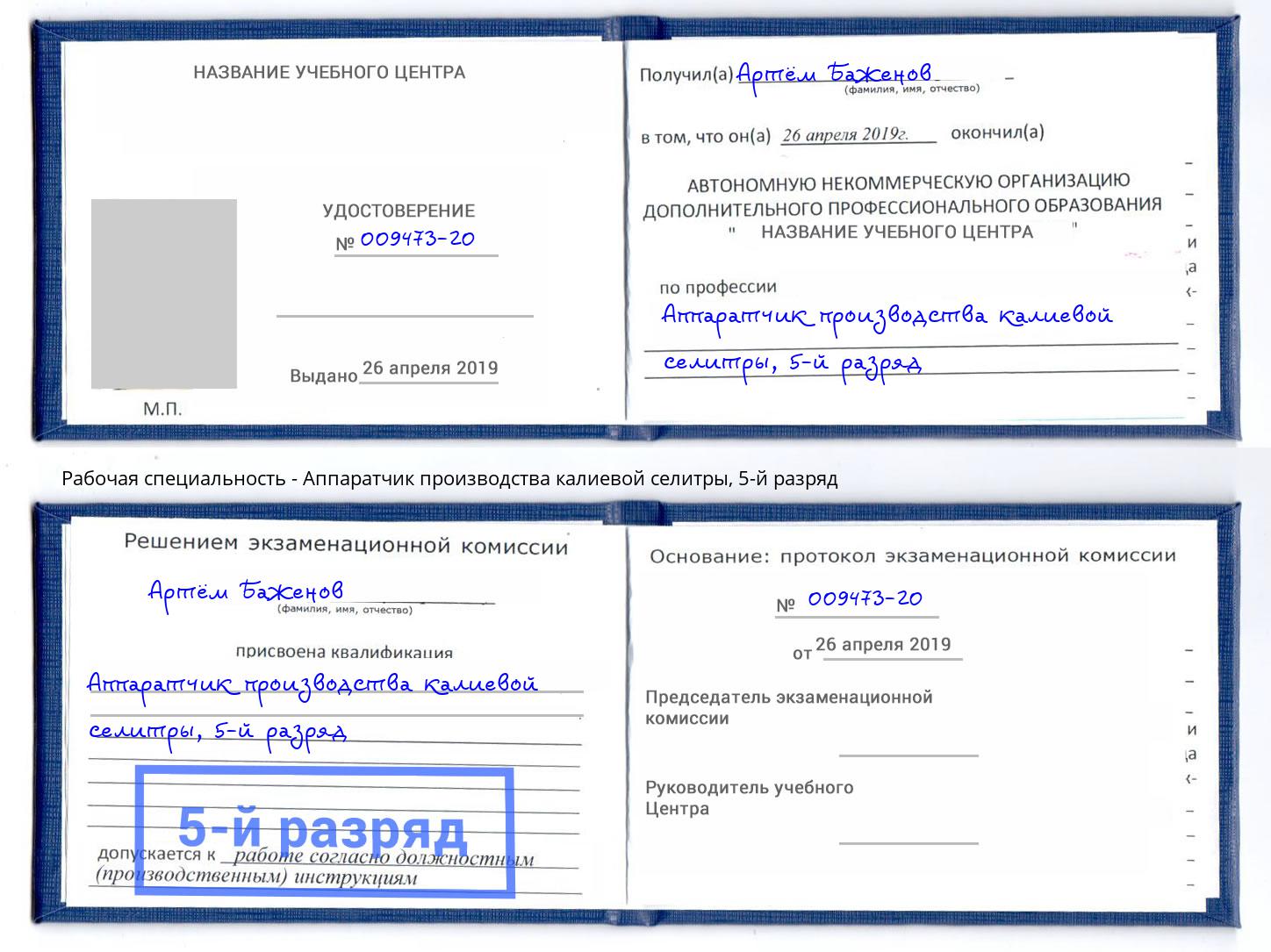 корочка 5-й разряд Аппаратчик производства калиевой селитры Тула