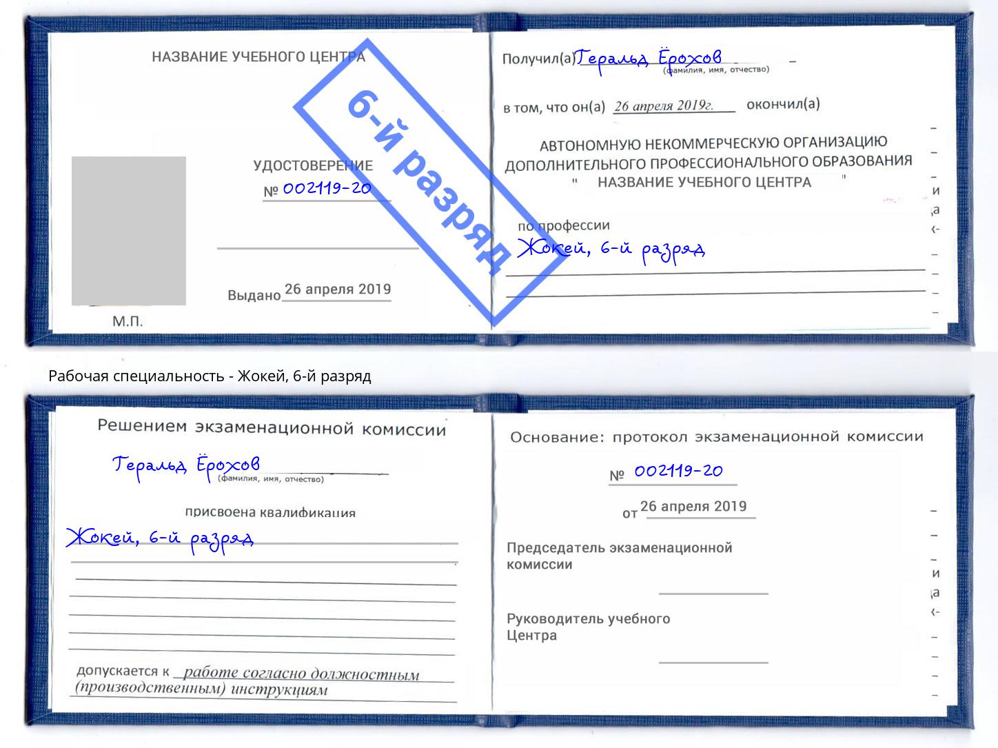 корочка 6-й разряд Жокей Тула
