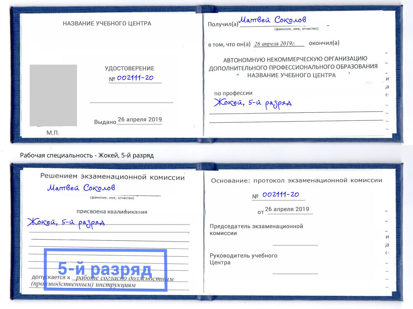 корочка 5-й разряд Жокей Тула