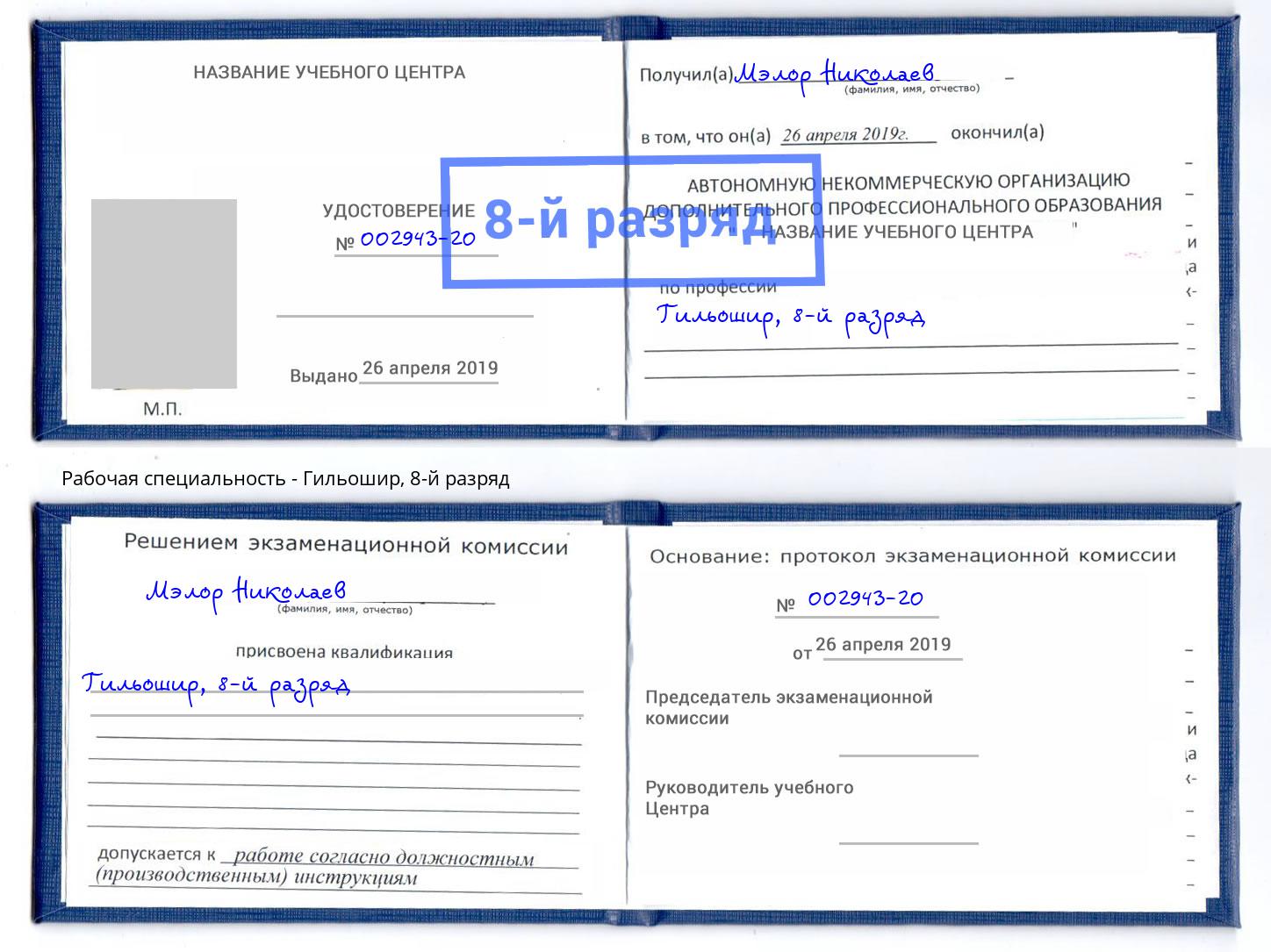 корочка 8-й разряд Гильошир Тула
