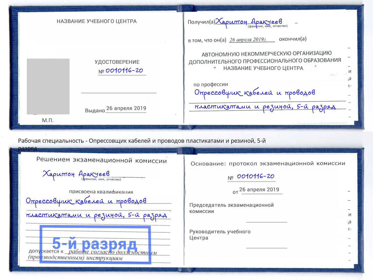 корочка 5-й разряд Опрессовщик кабелей и проводов пластикатами и резиной Тула